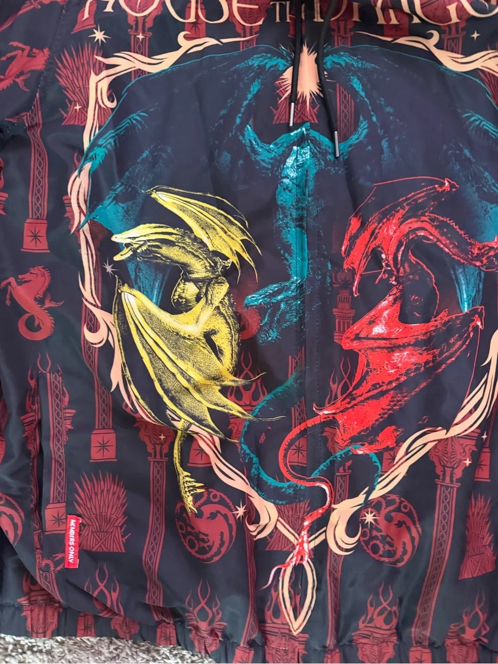 House of the Dragon Graphic Hoodie - Multi-Color Dragon Design